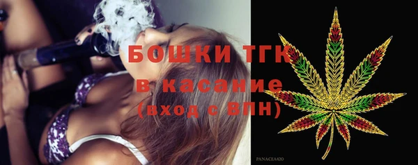 гашик Бородино