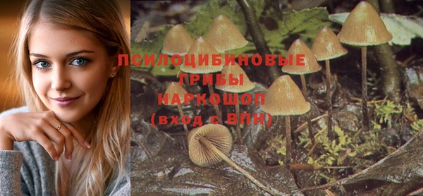 СК Бронницы