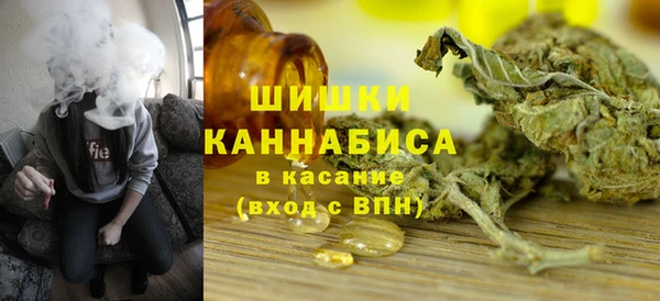СК Бронницы