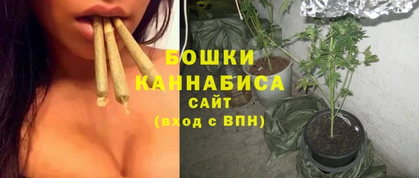 амф Богородицк