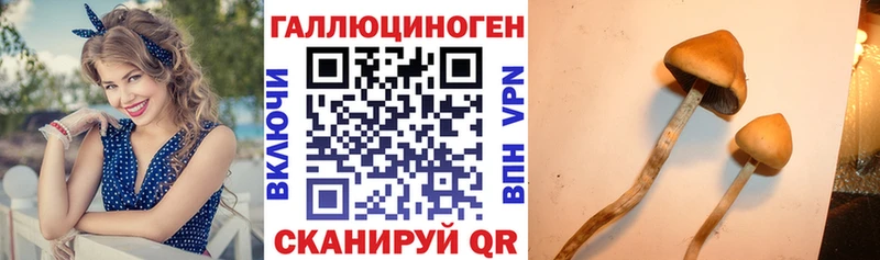 Галлюциногенные грибы прущие грибы  купить наркоту  Городец 